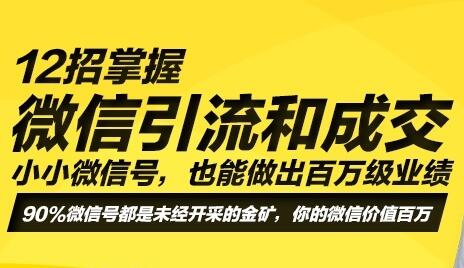 12招微信引流成交技术，让你做出百万级业绩，培训课程视频