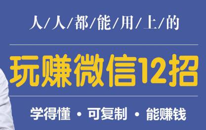 微信营销，人人都能用上的，玩赚微信12招，学得懂，能赚钱