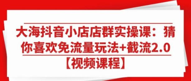 大海抖音小店店群实操培训视频：猜你喜欢免流量玩法+截流2.0