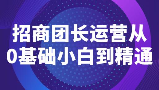 《招商团长运营》从0基础小白到精通