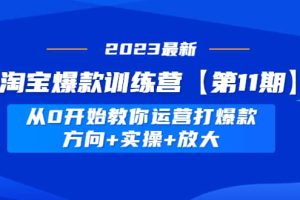 淘宝爆款训练营【第11期】 从0开始教你运营打爆款，方向 实操 放大