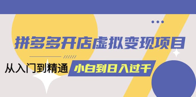 拼多多开店虚拟变现项目：入门到精通 从小白到日入1000（完整版）4月10更新插图