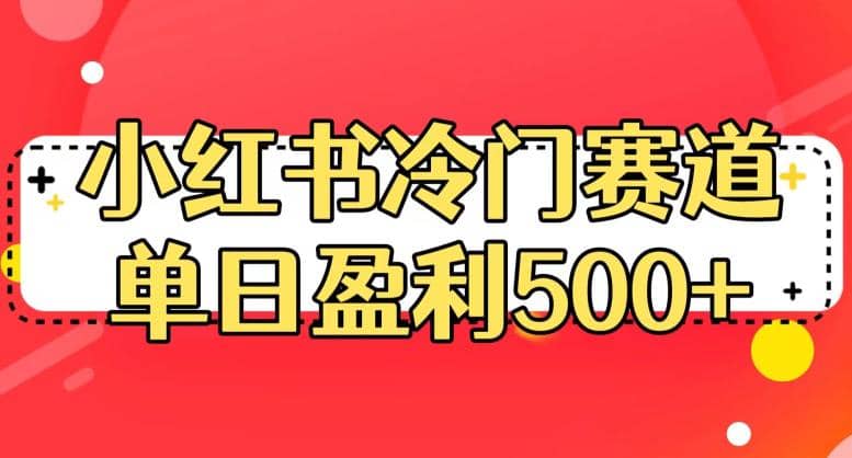 小红书冷门赛道，单日盈利500 【揭秘】插图