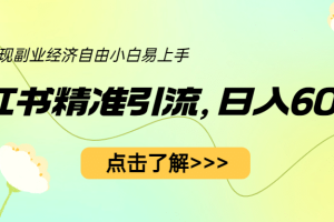 小红书精准引流，小白日入600 ，轻松实现副业经济自由（教程 1153G资源）