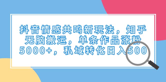 抖音情感共鸣新玩法，知乎无脑搬运，单条作品涨粉5000 ，私域转化日入500插图