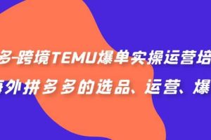 拼多多-跨境TEMU爆单实操运营培训班，海外拼多多的选品、运营、爆单