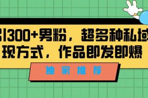 独家推荐！日引300 男粉，超多种私域变现方式，作品即发即报