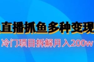 水边直播抓鱼，多种变现途径冷门项目，月入200w拆解【揭秘】