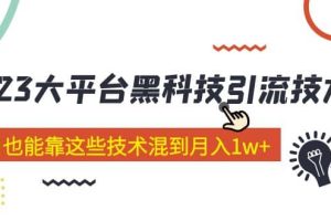 价值4899的2023大平台黑科技引流技术 29节课