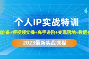 2023个人IP实战特训：基础准备 短视频实操 高手进阶 变现落地 数据 电商