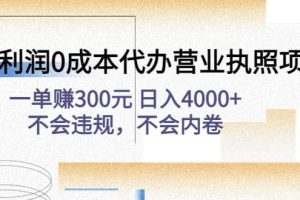 高利润0成本代办营业执照项目：不会违规，不会内卷