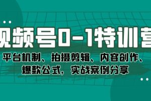 视频号0-1特训营：平台机制、拍摄剪辑、内容创作、爆款公式，实战案例分享