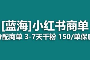 2023蓝海项目，小红书商单，快速千粉，长期稳定，最强蓝海没有之一