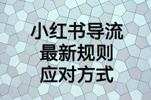 小红书导流最新规则应对方式【揭秘】