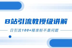 B站引流教授级讲解，细节满满，日引流100 精准粉不是问题