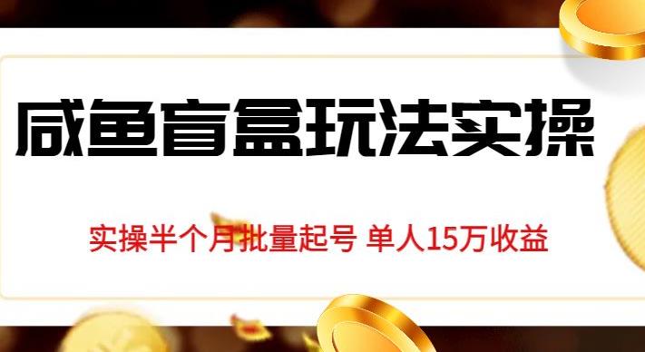 独家首发咸鱼盲盒玩法实操，半个月批量起号单人15万收益【揭秘】