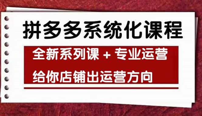 车神陪跑，拼多多系统化课程，全新系列课+专业运营给你店铺出运营方向