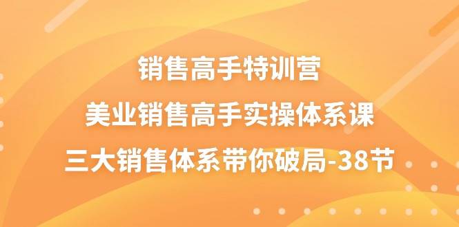 （10939期）销售-高手特训营，美业-销售高手实操体系课，三大销售体系带你破局-38节