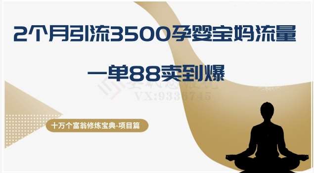 十万个富翁修炼宝典之13.2个月引流3500孕婴宝妈流量，一单88卖到爆