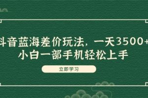 抖音蓝海差价玩法，一天3500+，小白一部手机轻松上手