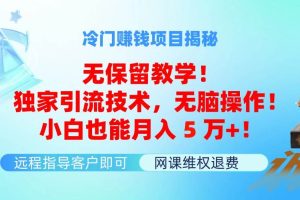 冷门赚钱项目无保留教学！独家引流技术，无脑操作！小白也能月入5万+！