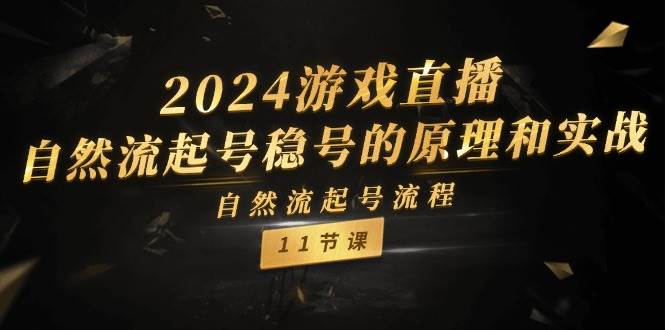 2024游戏直播-自然流起号稳号的原理和实战，自然流起号流程（11节）