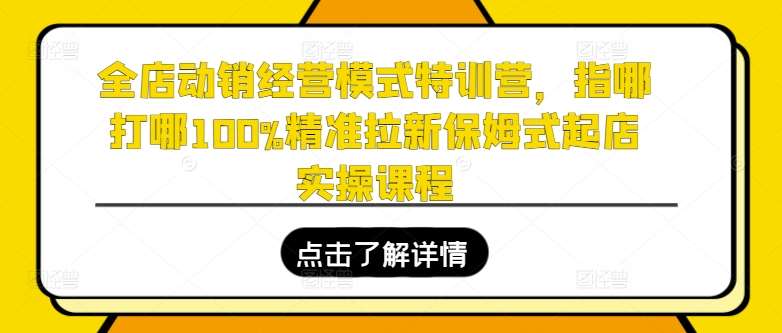 全店动销经营模式特训营，指哪打哪100%精准拉新保姆式起店实操课程