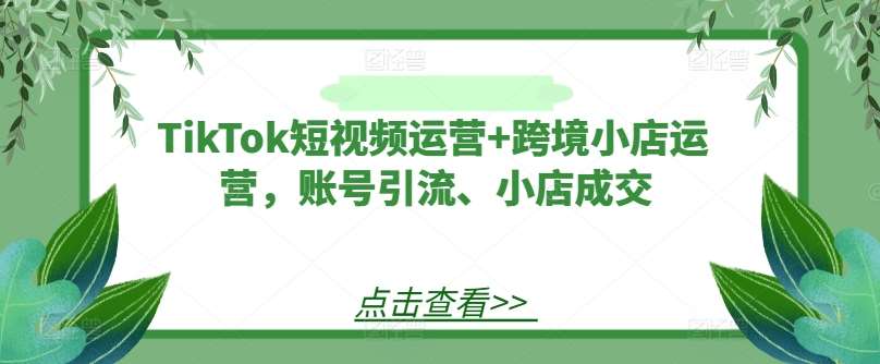 TikTok短视频运营+跨境小店运营，账号引流、小店成交