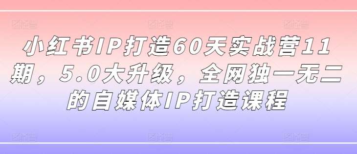 小红书IP打造60天实战营11期，5.0大升级，全网独一无二的自媒体IP打造课程