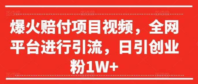 爆火赔付项目视频，全网平台进行引流，日引创业粉1W+【揭秘】