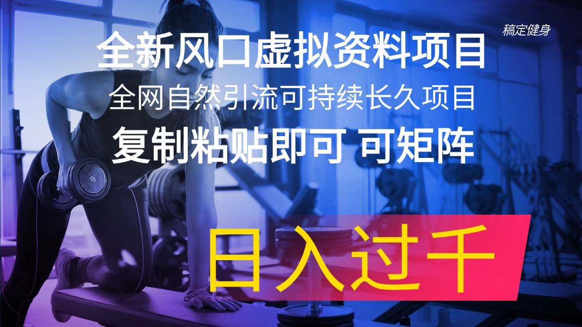 全新风口虚拟资料项目 全网自然引流可持续长久项目 复制粘贴即可可矩阵…