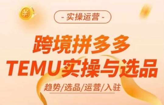 跨境拼多多TEMU实操与选品，多多temu跨境选品运营实操