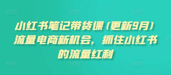 小红书笔记带货课(更新9月)流量电商新机会，抓住小红书的流量红利