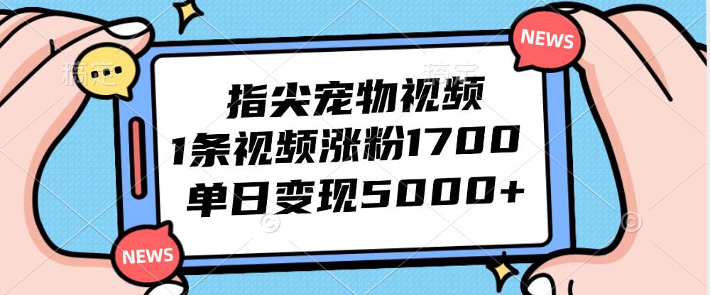 （12549期）指尖宠物视频，1条视频涨粉1700，单日变现5000+