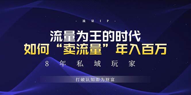 （13433期）未来如何通过“卖流量”年入百万，跨越一切周期绝对蓝海项目