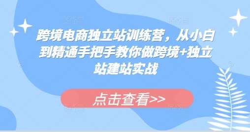 跨境电商独立站训练营，从小白到精通手把手教你做跨境+独立站建站实战