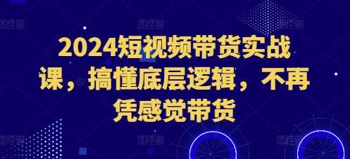 2024短视频带货实战课，搞懂底层逻辑，不再凭感觉带货