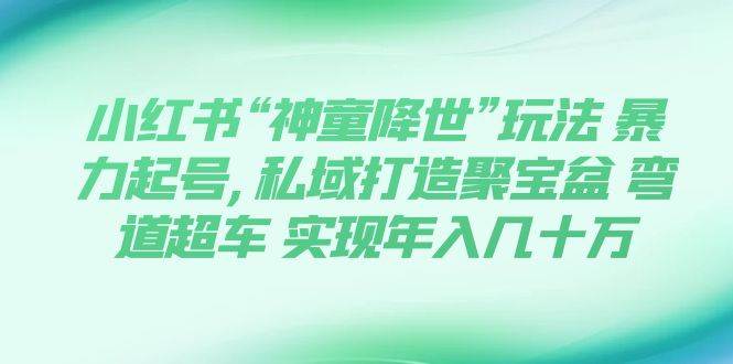 小红书“神童降世”玩法 暴力起号,私域打造聚宝盆 弯道超车 实现年入几十万插图