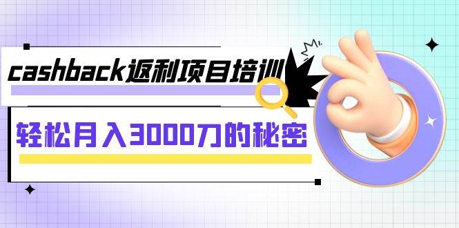 cashback返利项目培训：轻松月入3000刀的秘密（8节课）插图